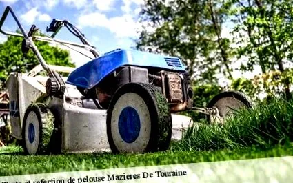Robin Elagage Mazieres Touraine-ban