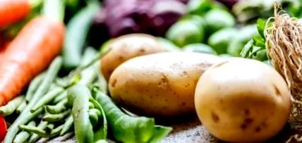 legume