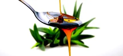 agave sirop