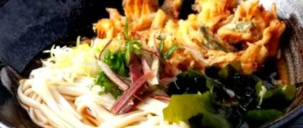 udon