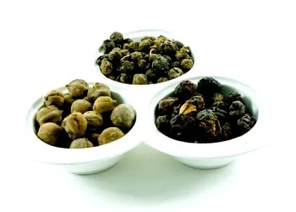 ayurveda care