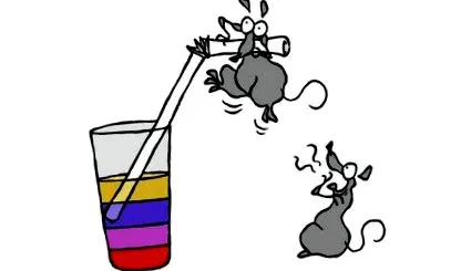 sciences