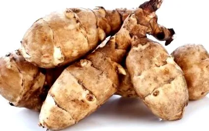 tárolja
