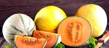 tipuri