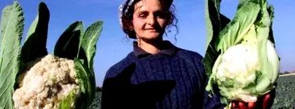 nekünk