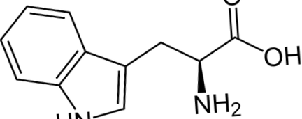 triptofán