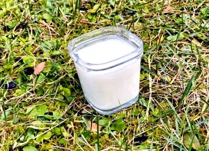 iogurte