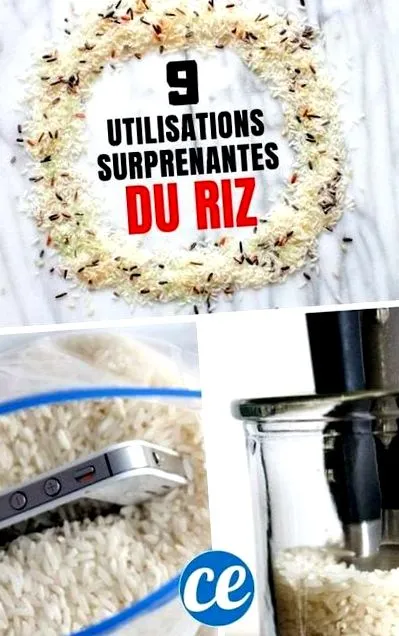 orezului