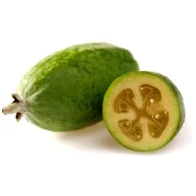 feijoa