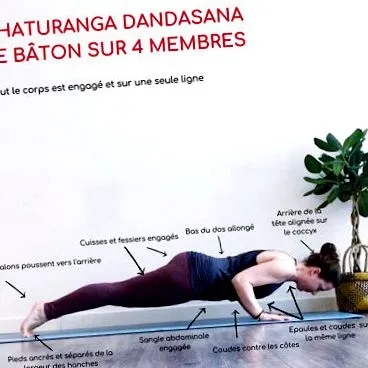 asana tippek
