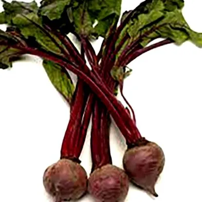 flora