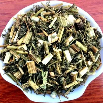 artemisia