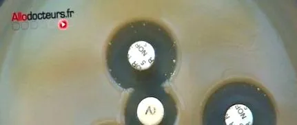 antibioticele