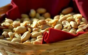 calorii calorii