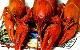 kalóriái