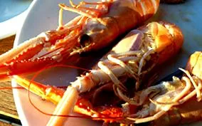 langoustine