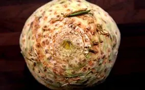 főtt