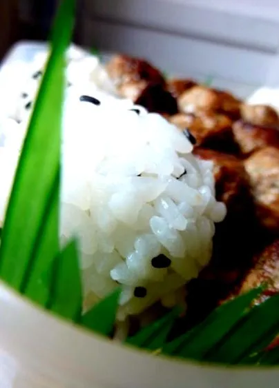 japoneze