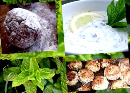 menta