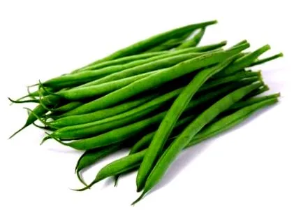 zöldbab ooreka