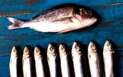 karakterek