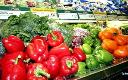 costă