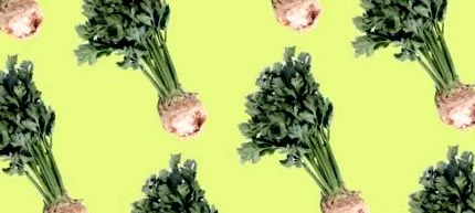 leri