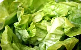 calorii
