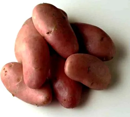 kemény