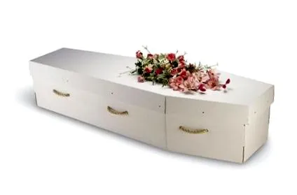 sicriu carton