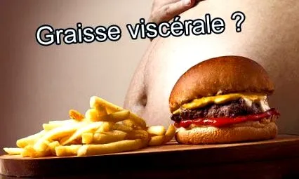 cauze grăsimii