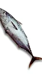 bonito калорії