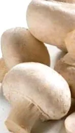 свойства