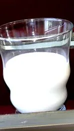 lactobacillus