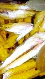 скумбрії скумбрії