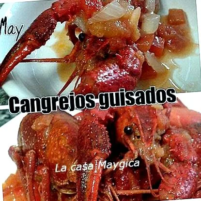 maygica
