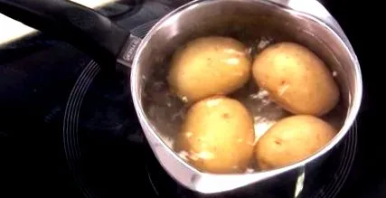 burgonya