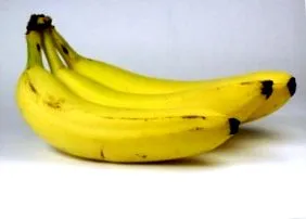 calorii calorii