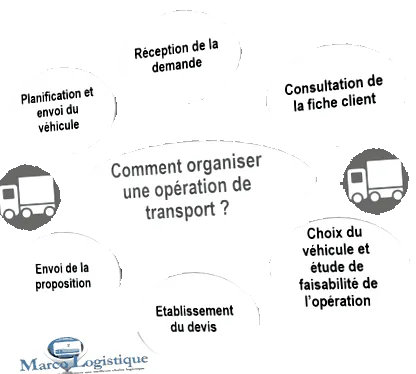 transport