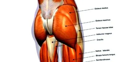 физиотерапия спорт