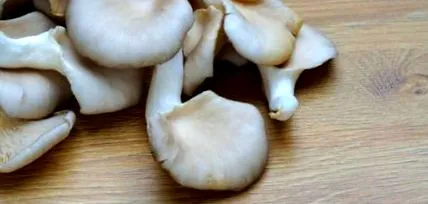 Hogyan főzzünk