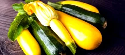 antioxidáns