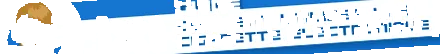 electronică