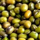 fasolea