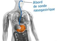 nutriției