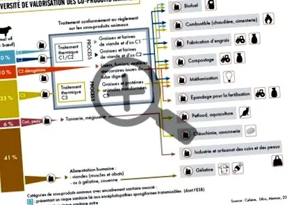 környezet korszerűsített