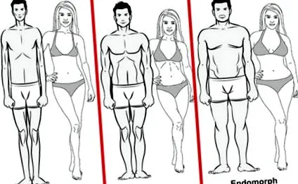 mesomorph
