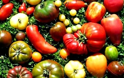 antioxidánsokat főzzünk