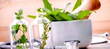 plantele