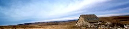 aubrac